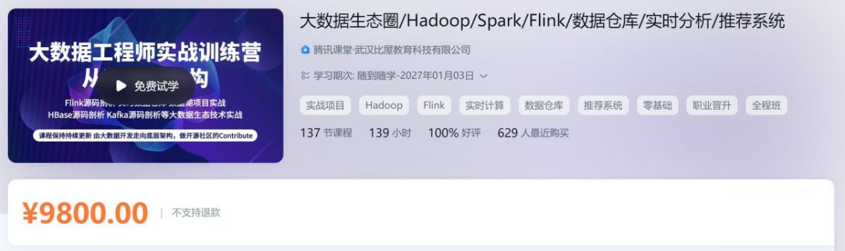 大数据工程师实战训练营 Hadoop/Spark/Flink/数仓等 视频+资料(40G)